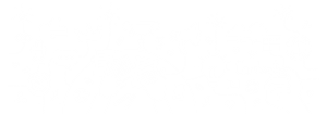 im image section 14 v2
